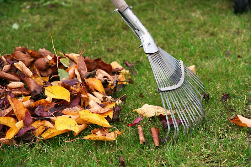 Yard Clean Up Services